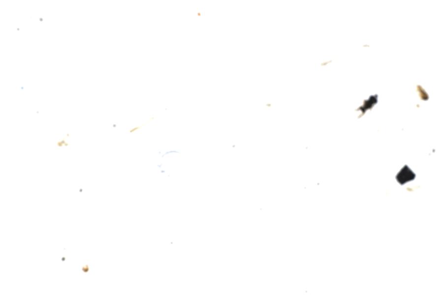 Image 61